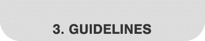 3  Guidelines