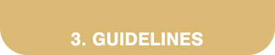3  Guidelines